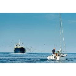 TORQEEDO Outboard Motors Cruise 2.0T Electric Outboard, Long Shaft, Tiller Steering 8 TORQEEDO Outboard Motors Cruise 2.0T Electric Outboard, Long Shaft, Tiller Steering -Boats Store 18019596 4 LRG