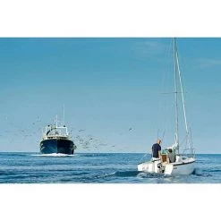 TORQEEDO Outboard Motors Cruise 4.0T Electric Outboard, Short Shaft, Tiller Steering 8 TORQEEDO Outboard Motors Cruise 4.0T Electric Outboard, Short Shaft, Tiller Steering -Boats Store 18019604 4 1500.07042021033041