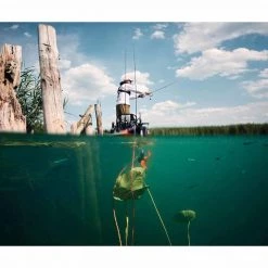 TORQEEDO Outboard Motors Ultralight Electric Kayak Trolling Motor, 320Wh Battery -Boats Store 19533066 4 1500.12032019013015